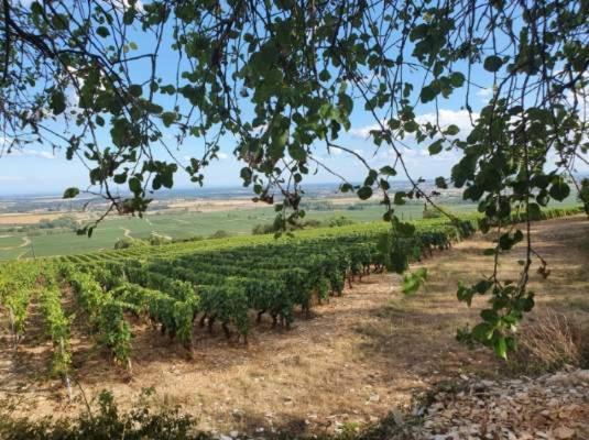 La Fruitiere Apartment Chaudenay Bagian luar foto