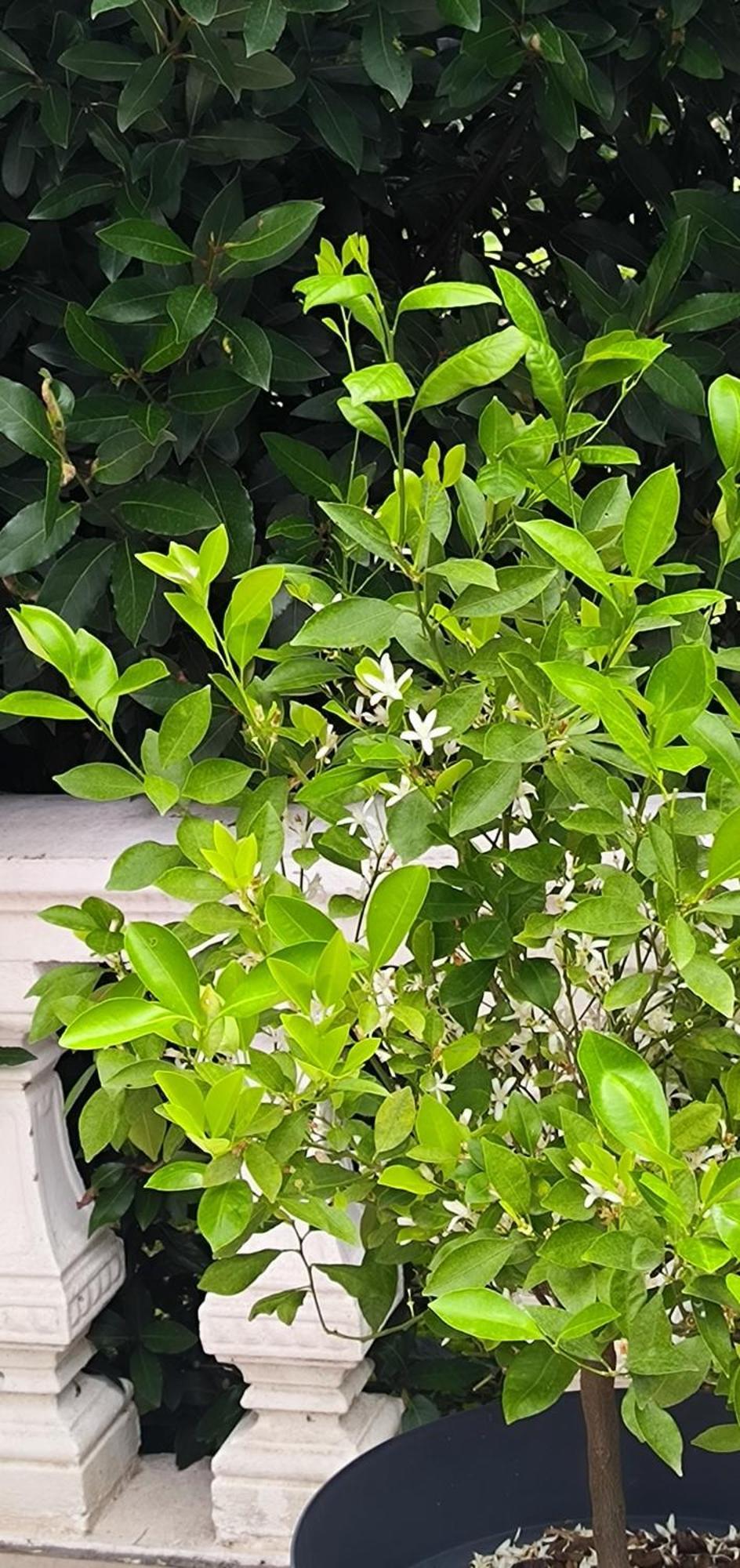 La Fruitiere Apartment Chaudenay Bagian luar foto