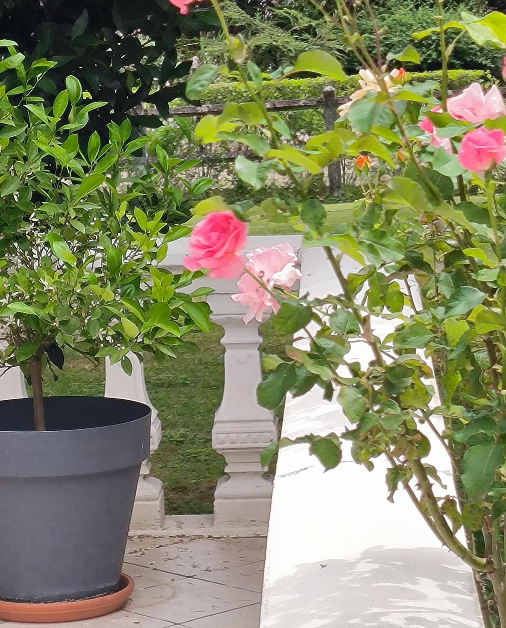 La Fruitiere Apartment Chaudenay Bagian luar foto